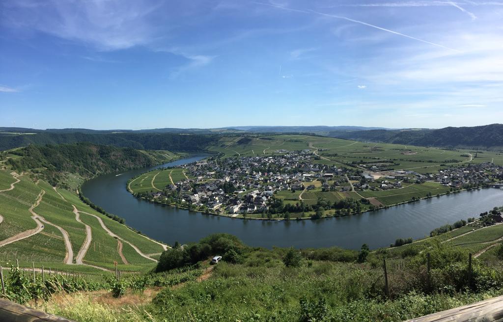 Moselromantik-Hotel Zum Loewen เอดิเกอร์-เอลเลอร์ ภายนอก รูปภาพ